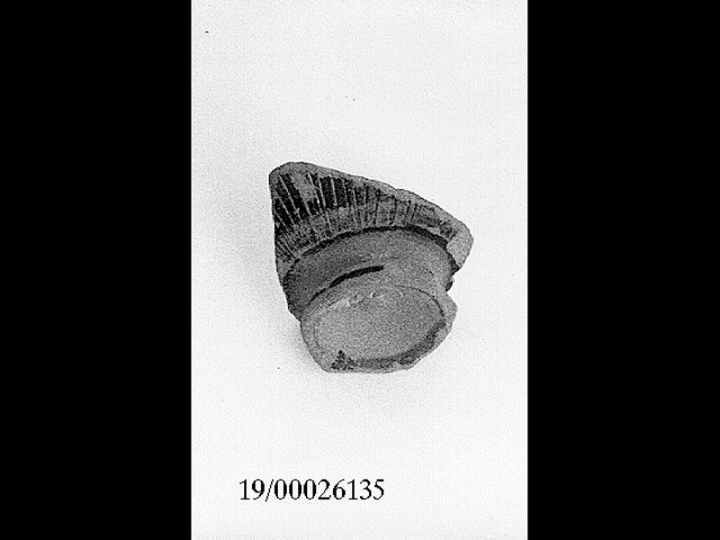 coppetta (SECOLI/ V a.C)