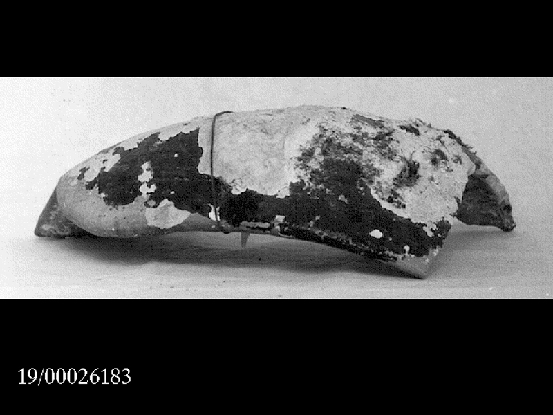 anfora/ spalla (SECOLI/ II a.C)