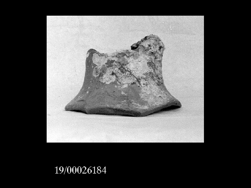 anfora/ collo (non determinabile)