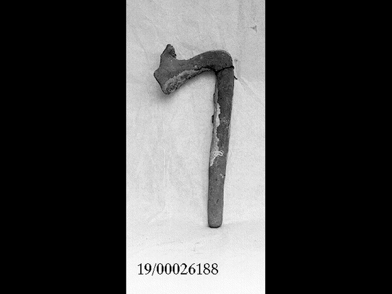 anfora/ ansa (SECOLI/ I)