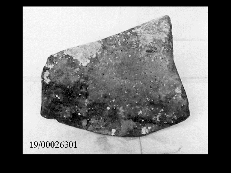 anfora/ ventre (non determinabile)