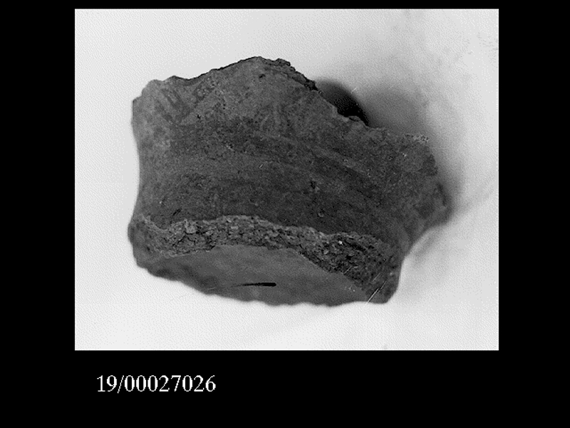 coppa/ fondo (PERIODIZZAZIONI/ PROTOSTORIA/ Età del Bronzo/ Età del Bronzo antico)