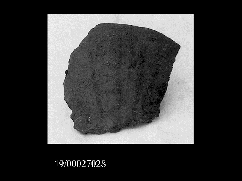 fruttiera/ orlo (PERIODIZZAZIONI/ PROTOSTORIA/ Età del Bronzo/ Età del Bronzo antico)