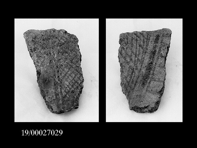 fruttiera/ orlo (PERIODIZZAZIONI/ PROTOSTORIA/ Età del Bronzo/ Età del Bronzo antico)