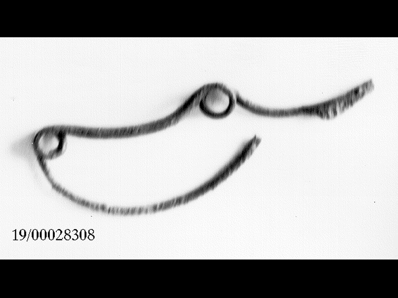 fibula (SECOLI/ VII a.C)