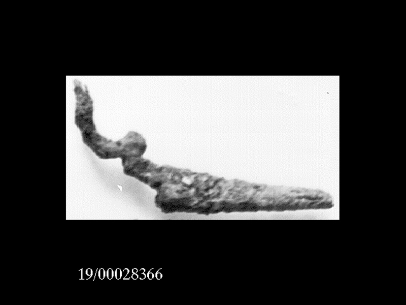 fibula/ arco (SECOLI/ VII a.C)