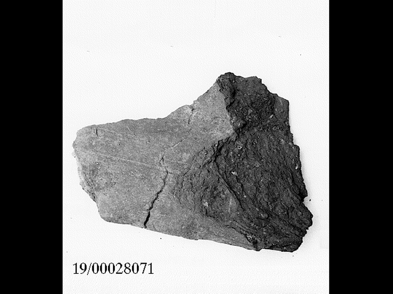 tegola/ bordo - fabbrica locale (SECOLI/ V a.C)