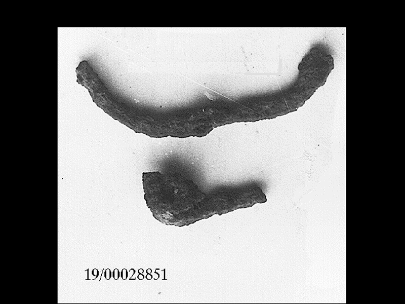 fibula/ frammento (fine SECOLI/ VII a.C)
