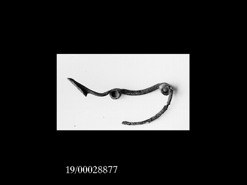 fibula (metà SECOLI/ VII a.C)