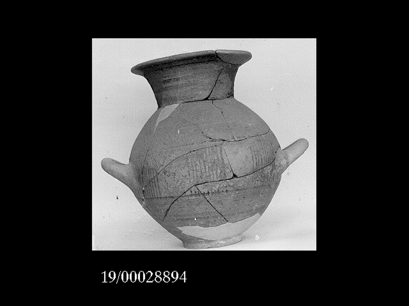 anfora - officina locale (inizio SECOLI/ VI a.C)