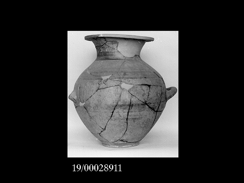 anfora - officina locale (inizio SECOLI/ VI a.C)