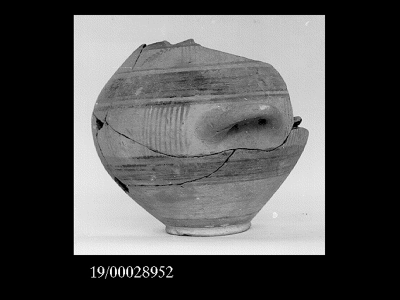 anfora - officina locale (inizio SECOLI/ VI a.C)