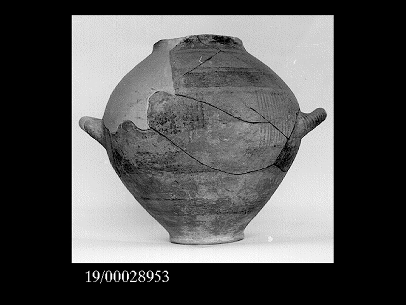 anfora - officina locale (inizio SECOLI/ VI a.C)