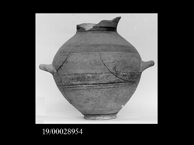 anfora - officina locale (inizio SECOLI/ VI a.C)