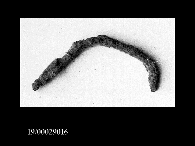 fibula/ frammento (SECOLI/ VII a.C)