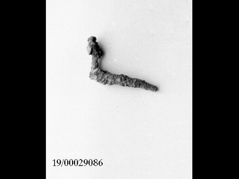 fibula/ arco (SECOLI/ VII a.C)