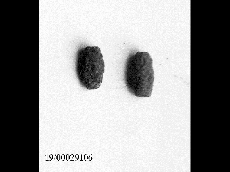 vago di collana/ serie (SECOLI/ VII a.C)