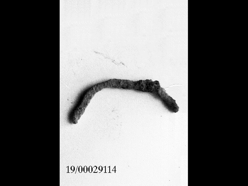 fibula/ arco (SECOLI/ VII a.C)