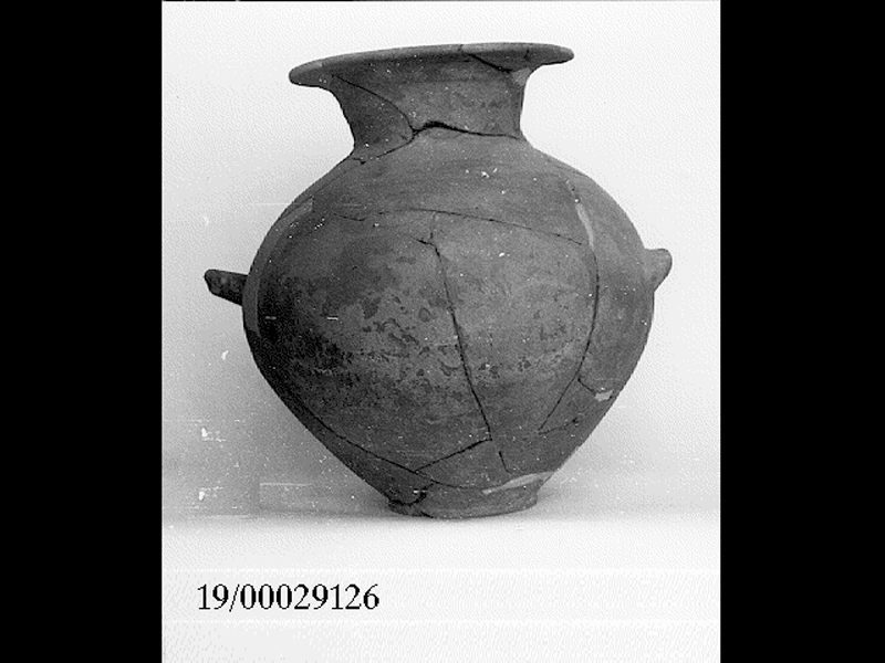 anfora - officina locale (inizio SECOLI/ VI a.C)