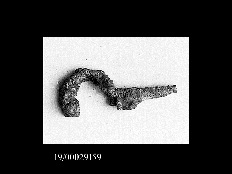 fibula (SECOLI/ VII a.C)
