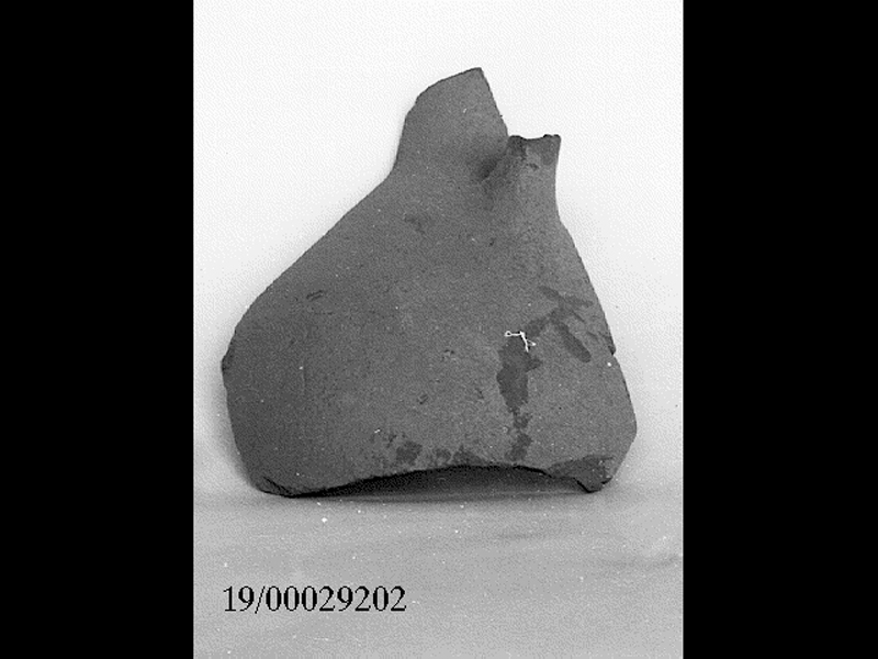 brocchetta - officina locale (metà SECOLI/ VII a.C)