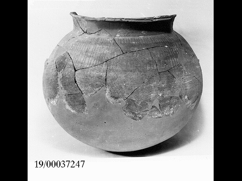 olla - produzione locale (prima metà SECOLI/ IV a.C)