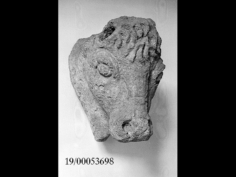 Natura/ animali/ toro (testa) (SECOLI/ III a.C)