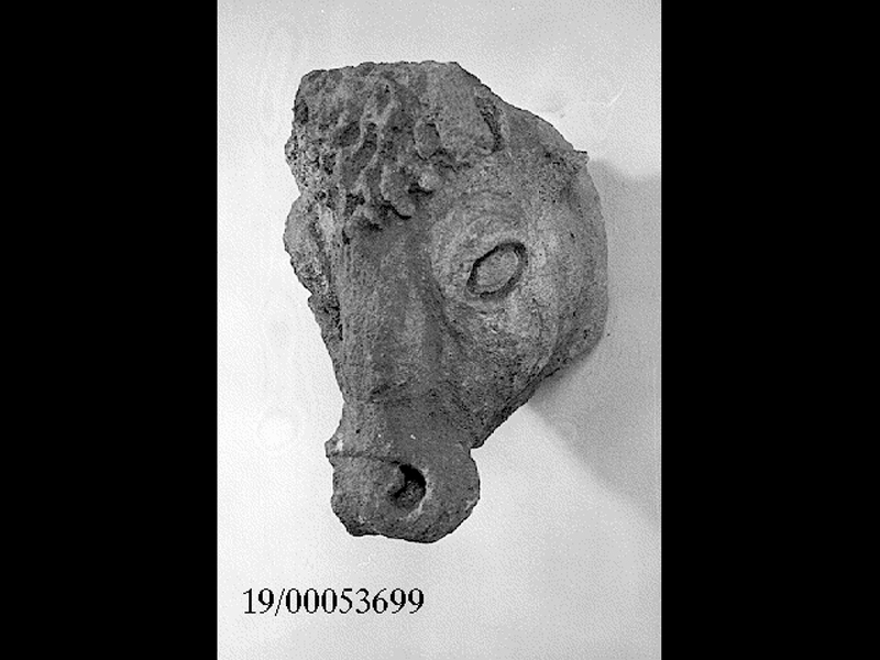 Natura/ animali/ toro (testa) (SECOLI/ III a.C)