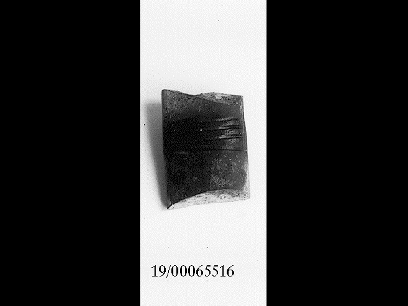 ansa (SECOLI/ V a.C)