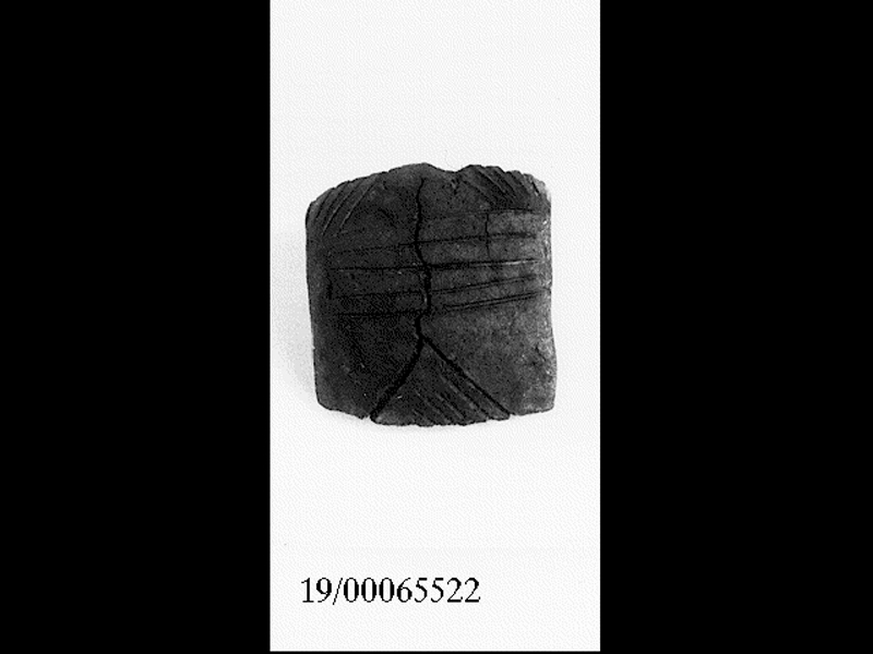 ansa (SECOLI/ V a.C)