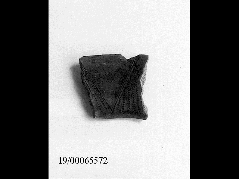 coppa/ orlo (SECOLI/ V a.C)