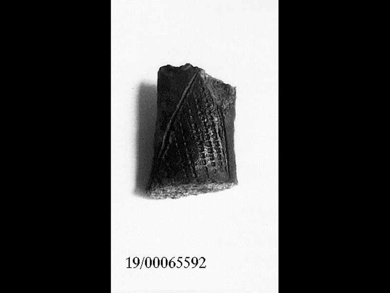 ansa (SECOLI/ V a.C)