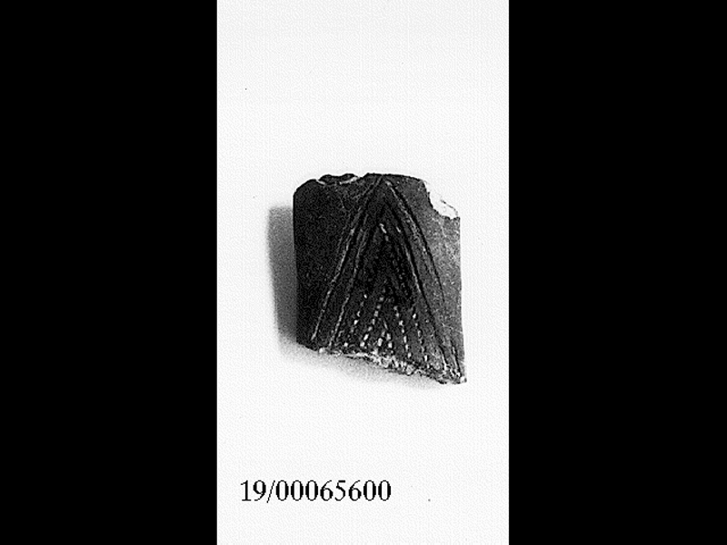 ansa (SECOLI/ V a.C)