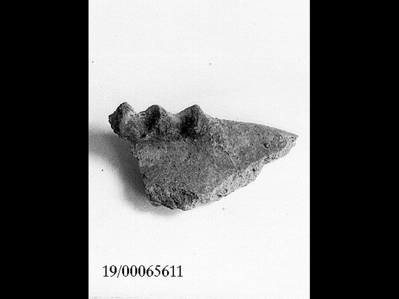 coppa (SECOLI/ V a.C)