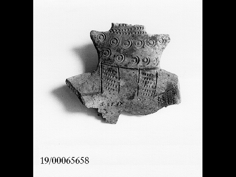 coppa carenata/ ansa (SECOLI/ V a.C)