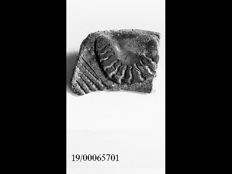 coppa/ orlo (SECOLI/ V a.C)