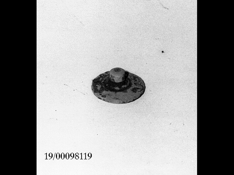 coperchio miniaturistico - officina locale (fine SECOLI/ IV a.C)