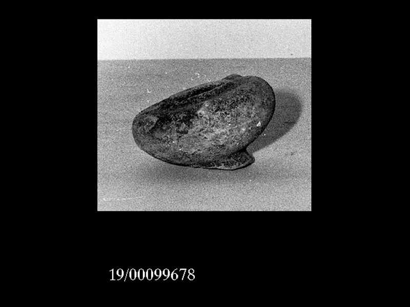 pisside - officina locale (SECOLI/ IV a.C)