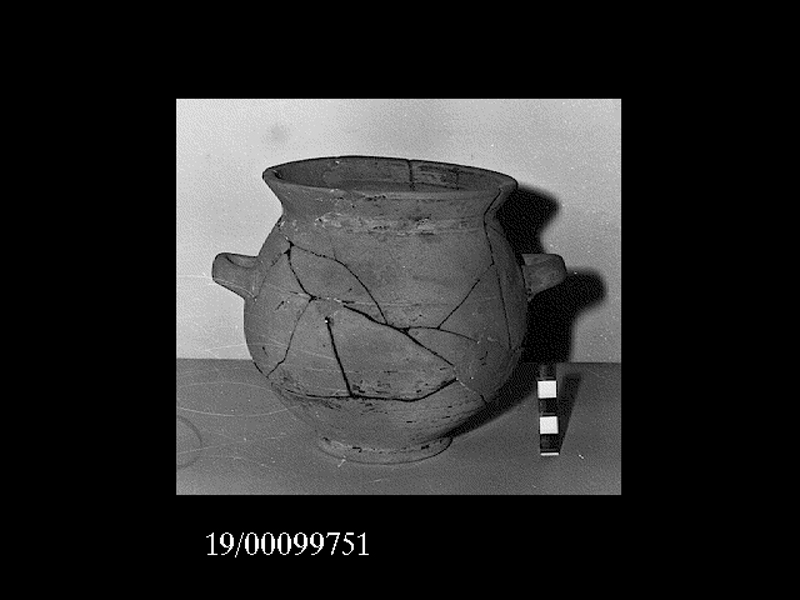 stamnos - officina locale (SECOLI/ IV a.C)