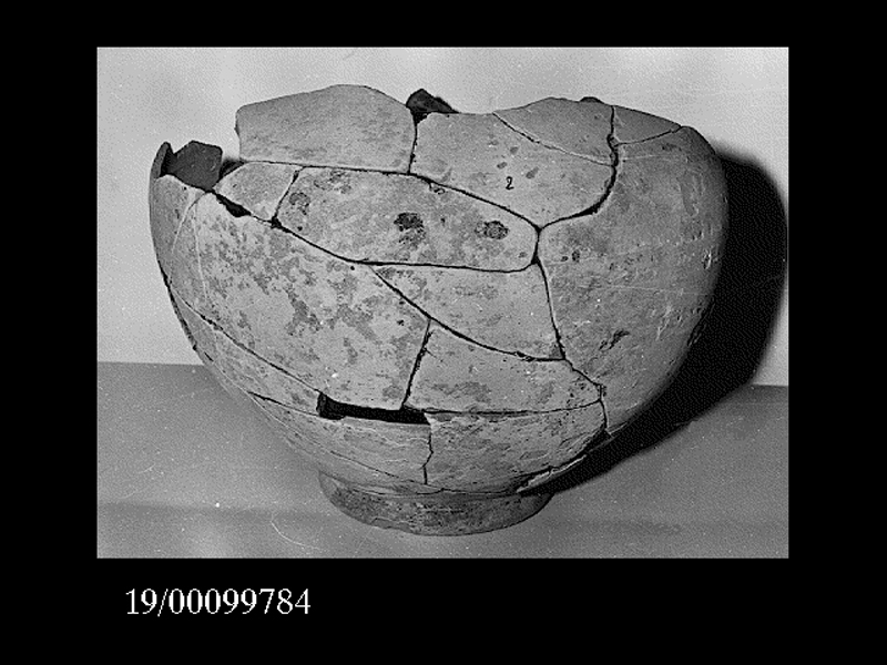 stamnos - officina locale (SECOLI/ IV a.C)