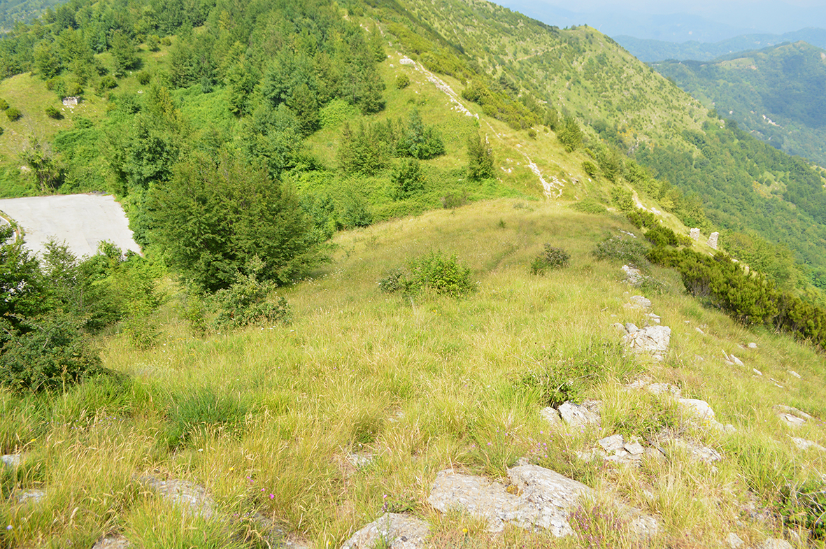 Nasoni (luogo con tracce di frequentazione, stazione preistorica) - Bogliasco (GE)  (PERIODIZZAZIONI/ Preistoria/ Mesolitico)