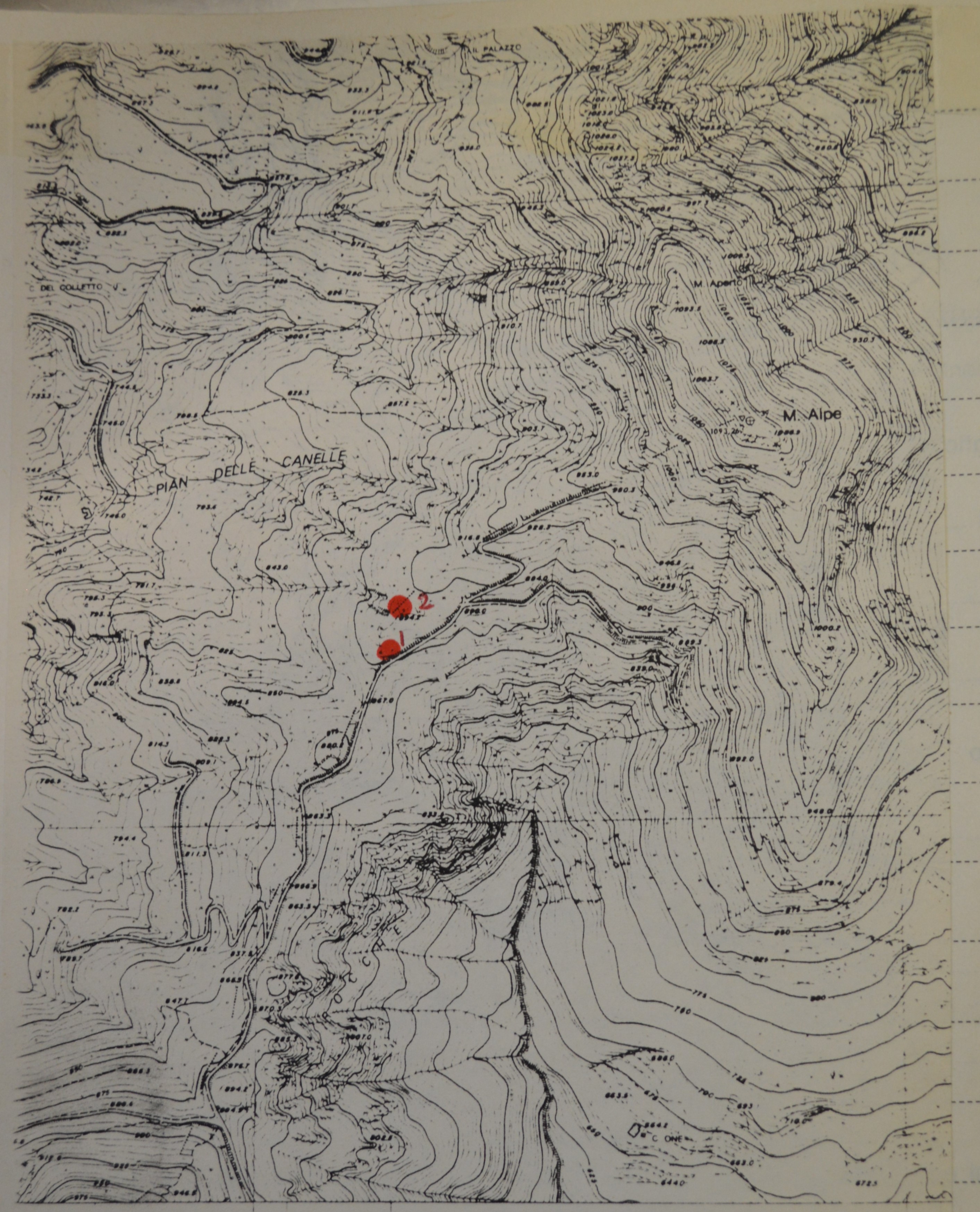 Monte Alpe (area di materiale mobile, area di frammenti fittili e industria litica) - Castiglione Chiavarese (GE)  (PERIODIZZAZIONI/ Preistoria)