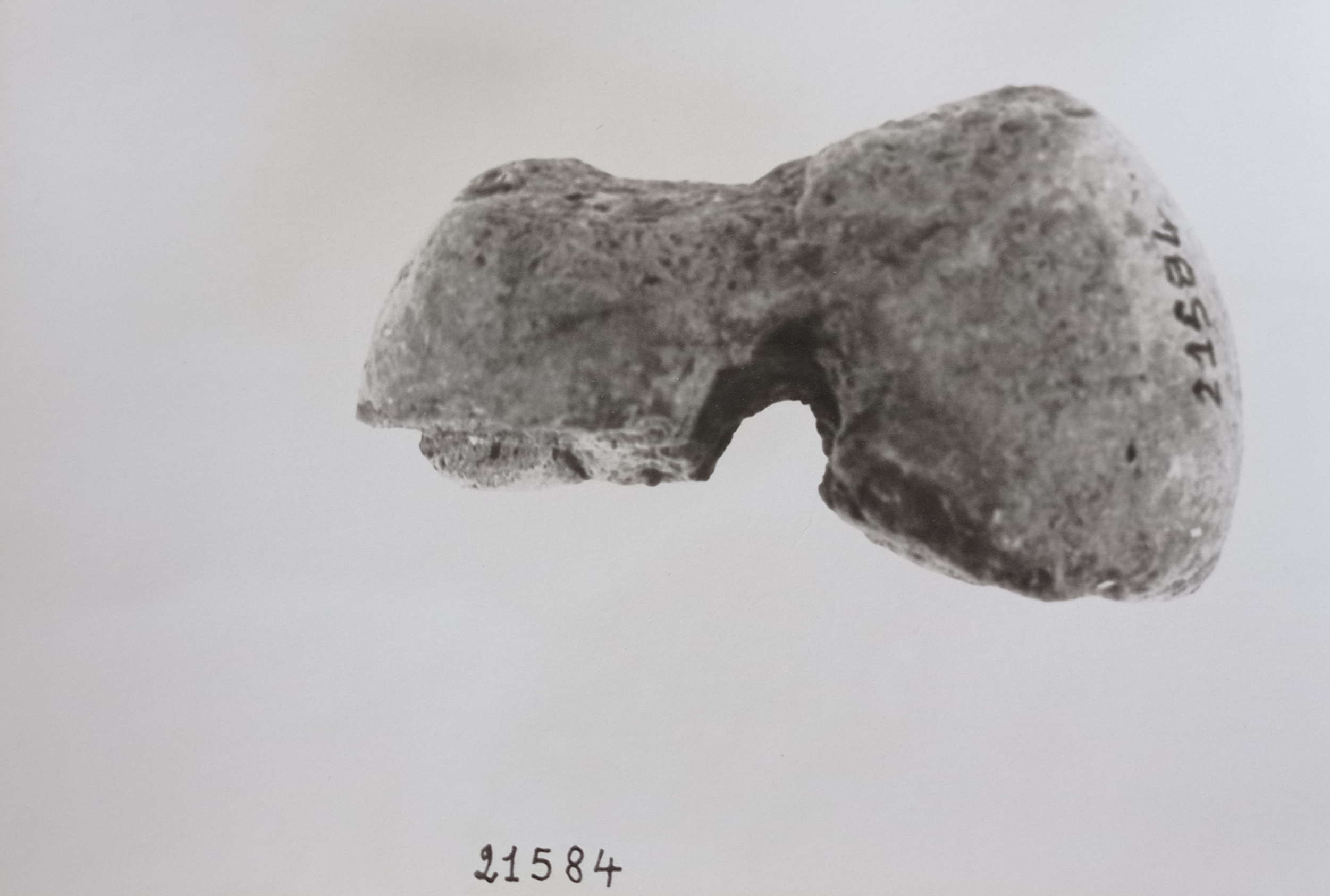Fuseruola