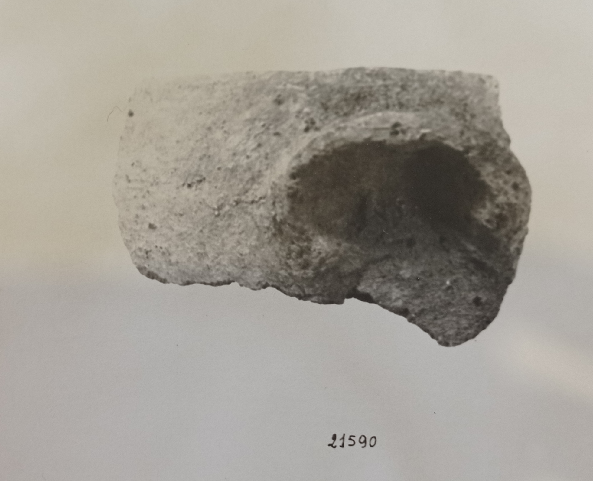 Ciotola