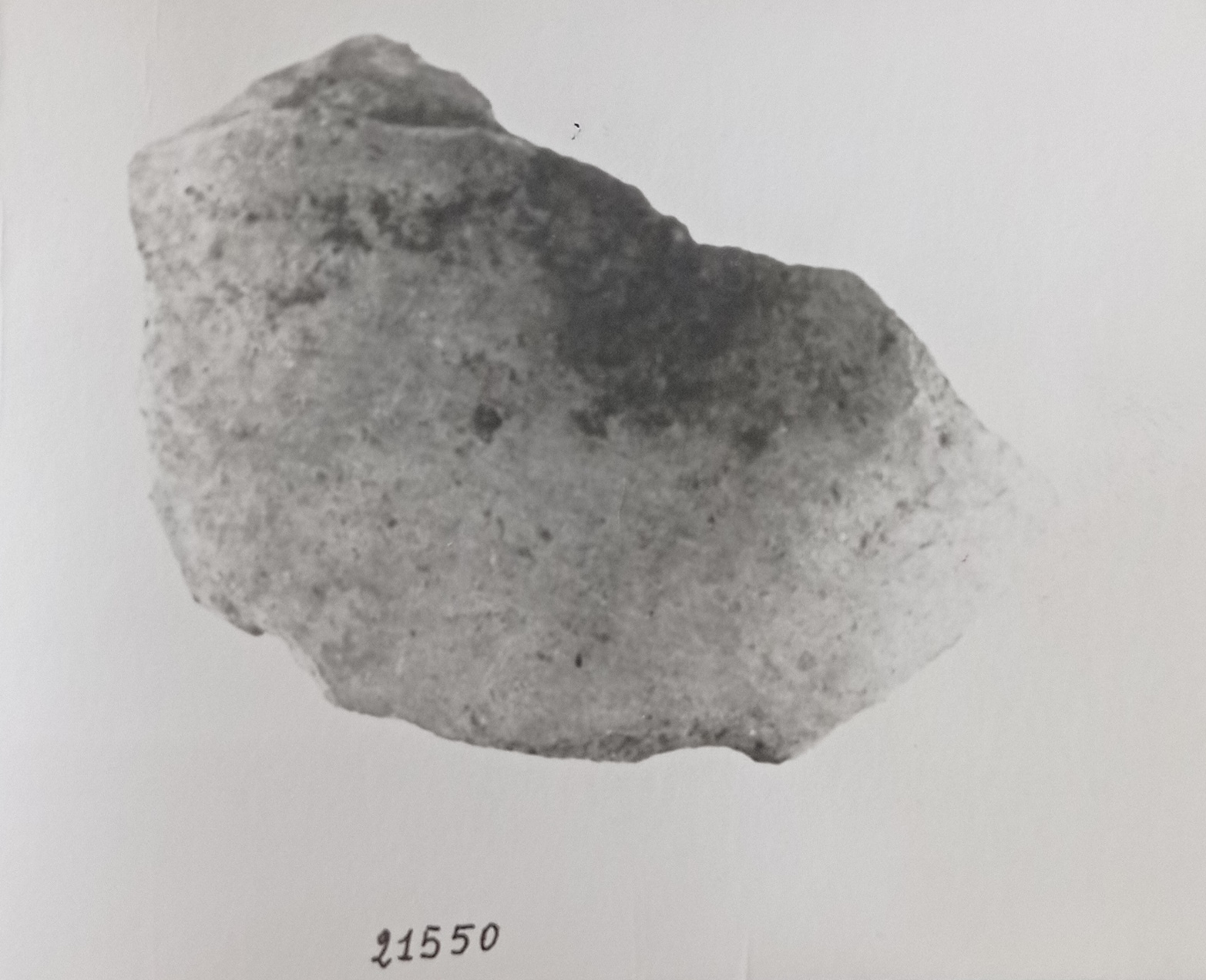 Ciotola. carenata
