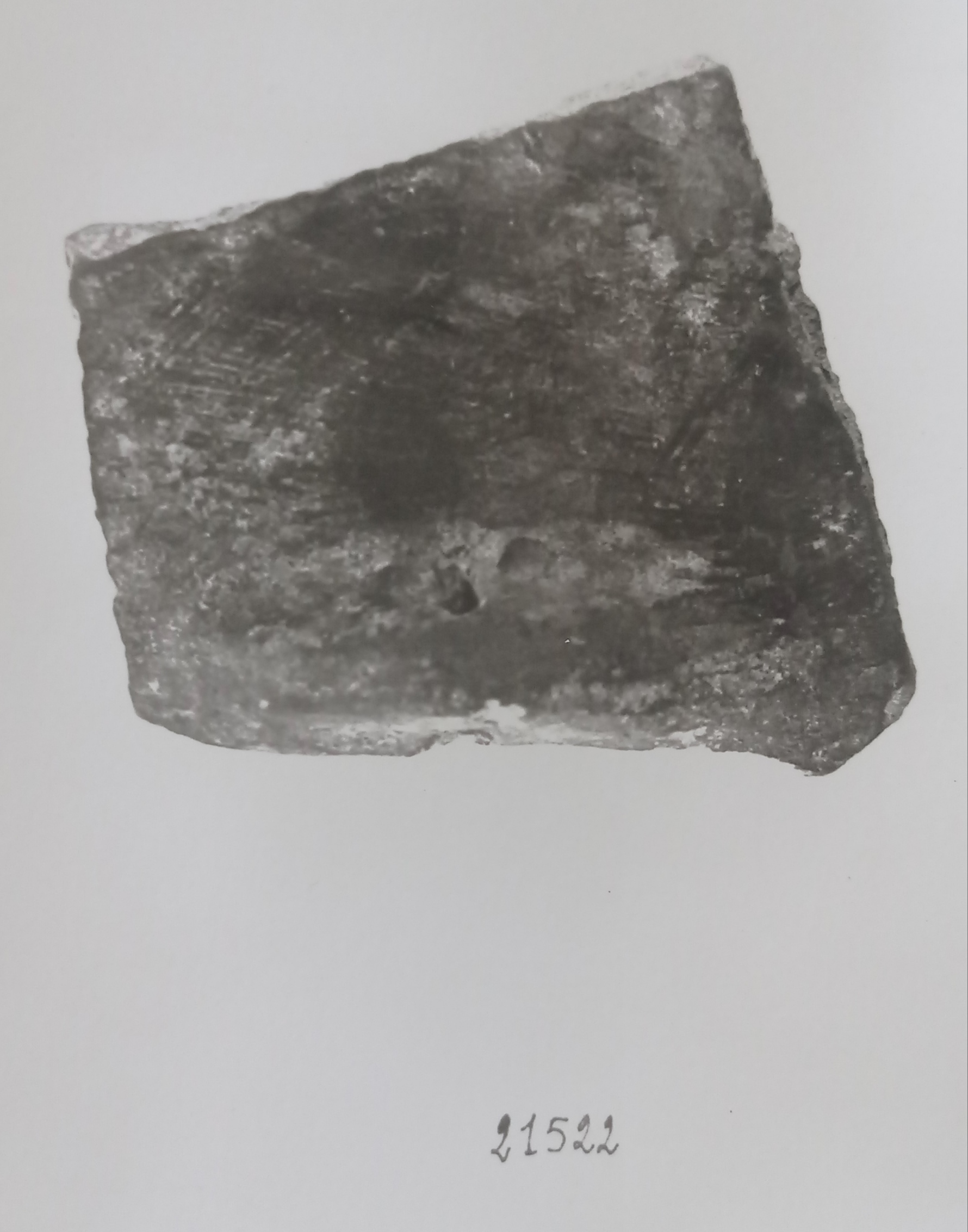 Tazza. carenata