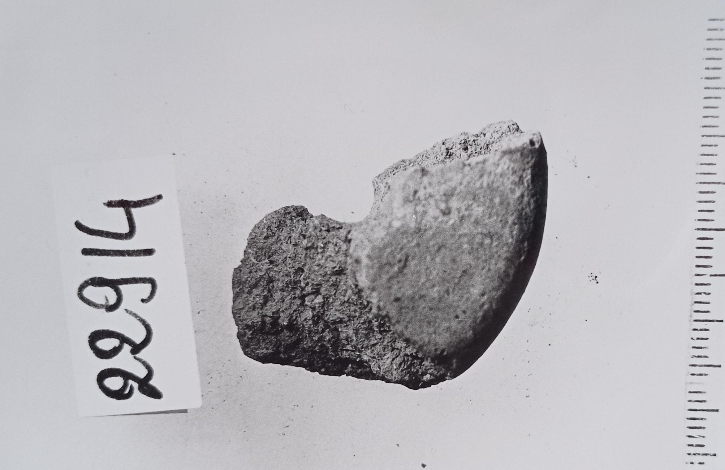 Fuseruola