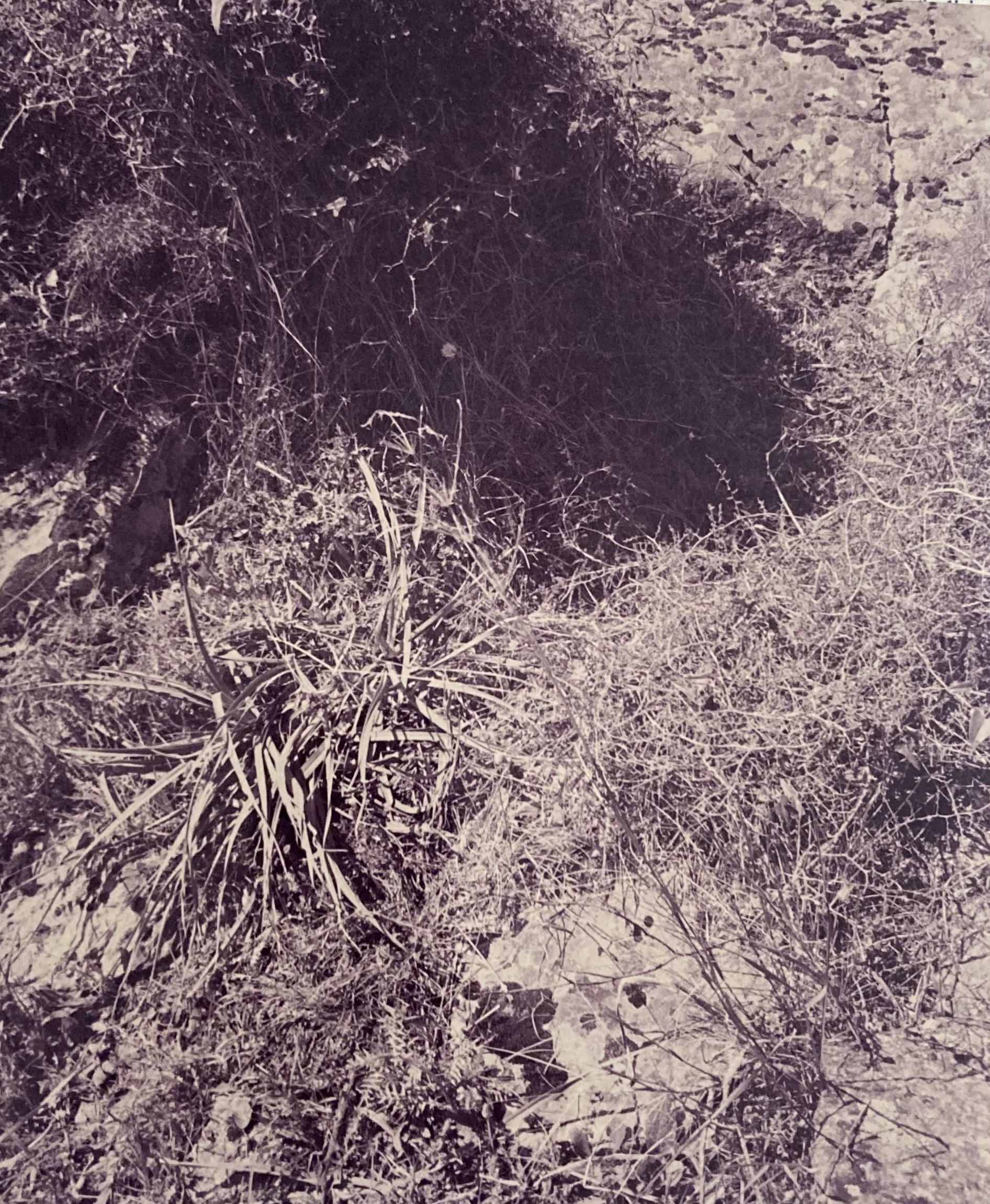 Domus de janas Sa Contonera IV (tomba a camera ipogea) - Benetutti (SS)  (fine PERIODIZZAZIONI/ PREISTORIA/ Neolitico)