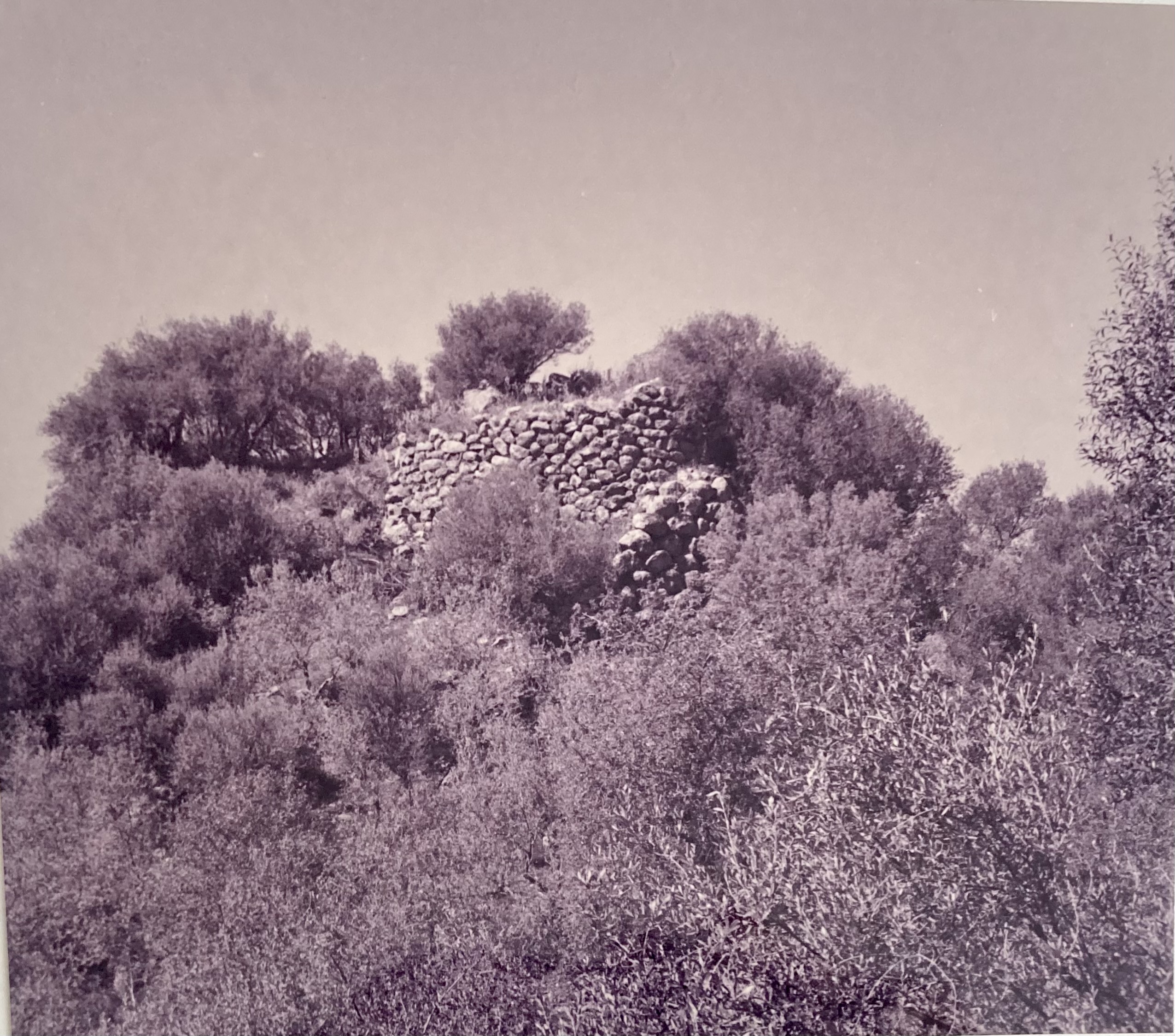 Nuraghe S'Aspru. Polilobato (nuraghe) - Benetutti (SS)  (PERIODIZZAZIONI/ PROTOSTORIA/ Eta' del Bronzo/ Eta' del Bronzo medio)