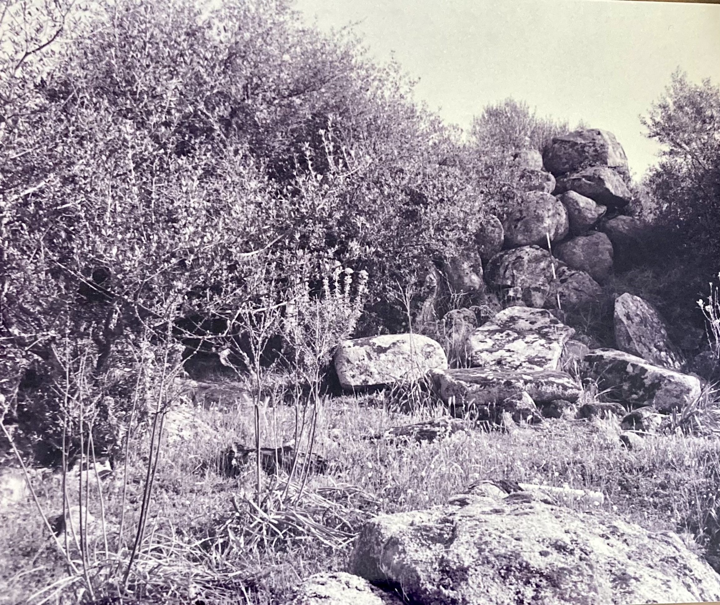 Nuraghe Urchi od Ogoro. Monotorre (nuraghe) - Benetutti (SS)  (PERIODIZZAZIONI/ PROTOSTORIA/ Eta' del Bronzo/ Eta' del Bronzo medio)